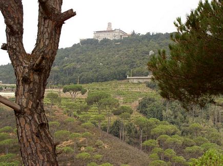 Mar Chaayra Monastery