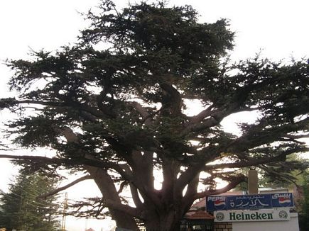 Views from around the country