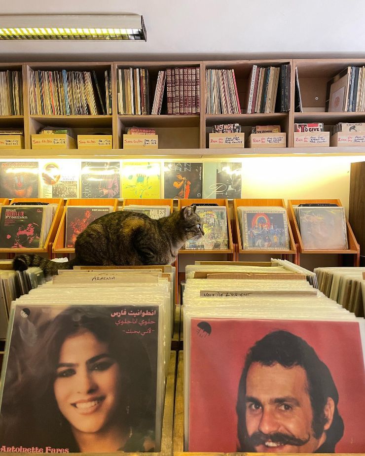 Pick of the Pops - Music Shop