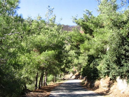 Road , Oudin Valley , Akkar