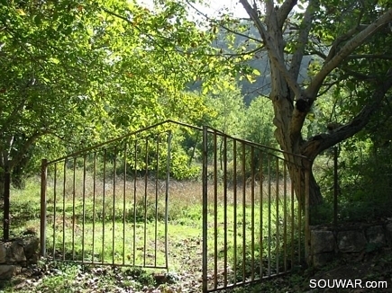 The Garden Opening, Gebrayel