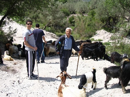 The Sheperd, Fih, El Koura