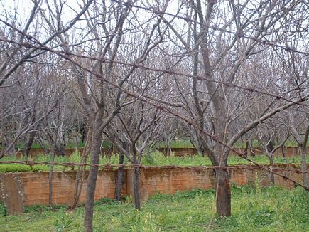 The Village of Karabach