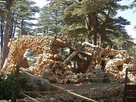 Cedars