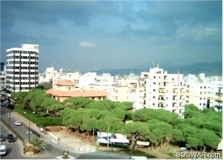 Remaing Pine Trees in the Horsh Tabet Forest