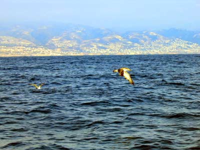 Jounieh from the Sea