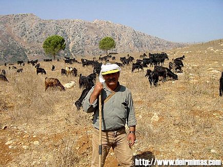 Deir Mimas - Marjeyoun