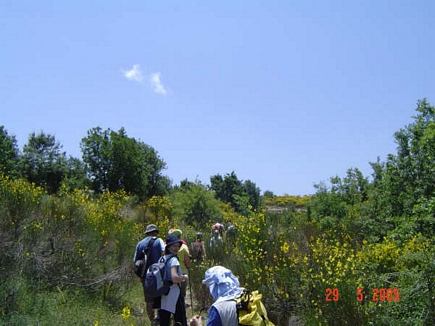 Hiking Trip To jezzine