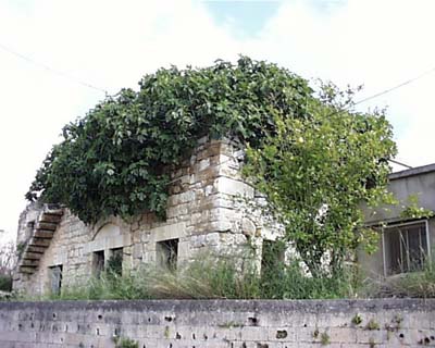 Alma-El-Chaab - Old House