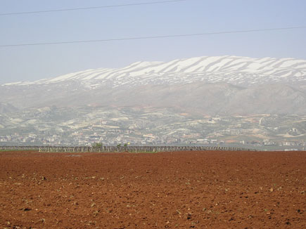 Bekaa