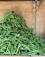 Foul Akhdar - Green fava beans