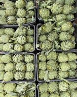 Artichoke - Ardi Choki