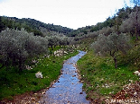 Early Spring , Bayno , Akkar