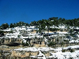Trees On Rocks With Snow On , Near The Water Spring , Fnaydik , Akkar