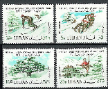 International Cedars Festival