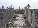 Tyre Ruins