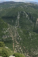 Mount Lebanon Valley